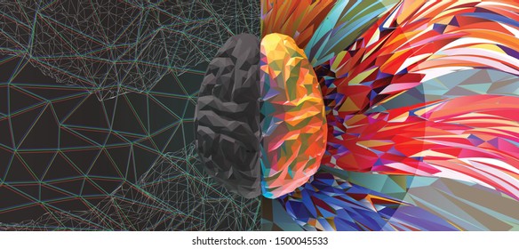 Polygonal human brain hemispheres gray left and rainbow color right brain engraving in top view illustration isolated on multicolor art background