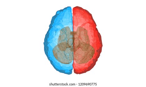 Polygonal human brain top view separate color with line art wireframe glowing on white background