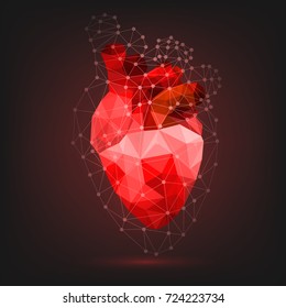 Polygonal human heart