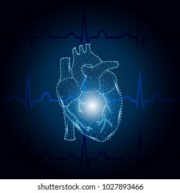 Polygonal human heart  in low poly polygon style illustration with connecting points (dots),  isolated on ECG blue background. Anatomical heart for medical or scientific 
design, wireframe concept.