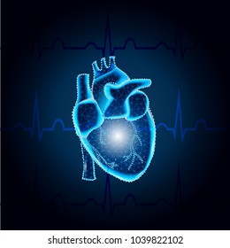 Polygonal human heart  in low poly polygon style illustration with connecting points (dots), mesh, isolated on ECG blue background. Anatomical heart for medical or scientific design, wireframe concept