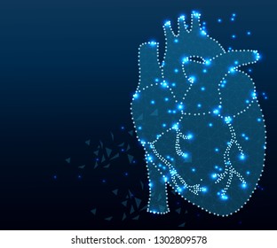Polygonal human heart in low poly polygon style illustration with connecting points dots , isolated on white background. Anatomical heart for medical or scientific design, wireframe concept.