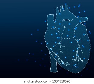 Polygonal human heart in low poly polygon style illustration with connecting points dots , isolated on white background. Anatomical heart for medical or scientific design, wireframe concept.