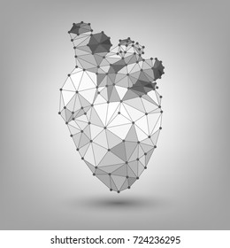 Polygonal Human Heart, Structure