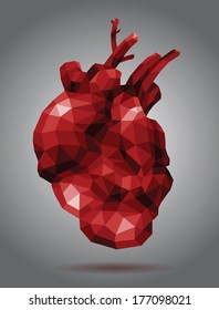 Polygonal human heart, vector illustration