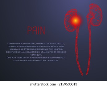 Polygonal human kidneys made of red lines and dots. Medical research of internal organs, innovative approach concept. Organ of human urinary system. Modern depiction of kidney for urine excretion
