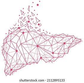 Polygonal human liver made of red lines and dots. Medical research of internal organs, innovative approach concept. Organ of human digestive system. Modern depiction of external secretion gland, liver