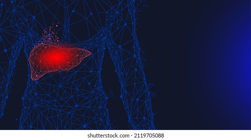 Polygonal human liver made of red lines and dots. Medical research of internal organs, innovative approach concept. Organ of human digestive system. Modern depiction of external secretion gland, liver