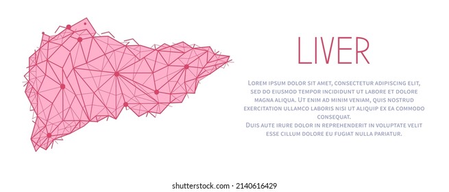 Polygonal human liver made of red lines and dots. Medical research of internal organs, innovative approach concept. Organ of human digestive system. Modern depiction of external secretion gland, liver