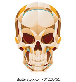 Polygonal Human Skull Facet #1