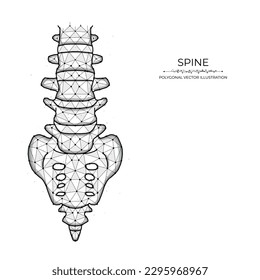 Ilustración de vectores de columna vertebral humana poligonal aislada sobre fondo blanco. Plantilla de banner médico anatómico y antecedentes