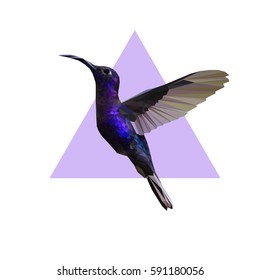 polygonal hummingbird flying triangle background