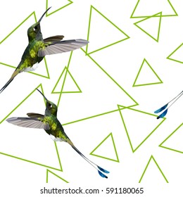 polygonal hummingbird flying triangle seamless  background