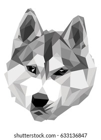 Polygonal husky