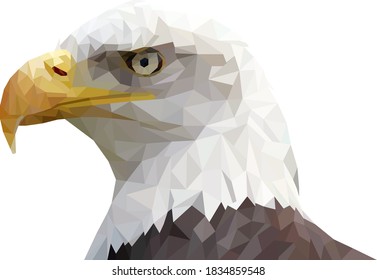 Polygonal illustration of bald eagle