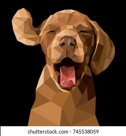 Polygonal illustration of a dog. Silhouette triangle low polygon style. Beautiful happy yellow puppy from the top view isolated on black background