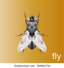polygonal illustration of Fly