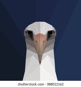 polygonal illustration of goose