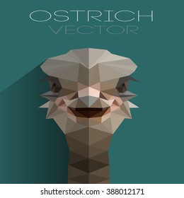 polygonal illustration of ostrich