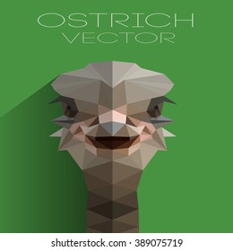 polygonal illustration of ostrich