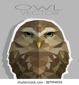 polygonal illustration of owl