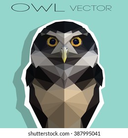 polygonal illustration of owl