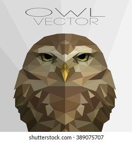 polygonal illustration of owl