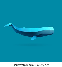 polygonal illustration of sperm whale