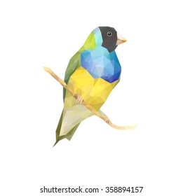 polygonal image bird illustration