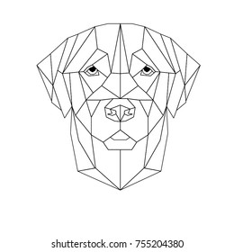 Polygonal image of a dog, vector
The Golden Labrador.
Chinese New Year, 2018, the symbol of the year