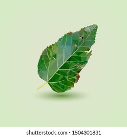 polygonal images green leaf macro
