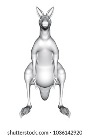 Polygonal kangaroo. 3D. Front view. Vector illustration.