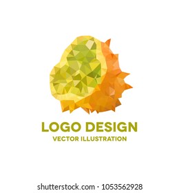 polygonal kiwano illustration