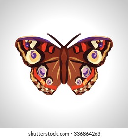 polygonal and large beautiful butterfly