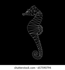 Polygonal Line Seahorse illustration