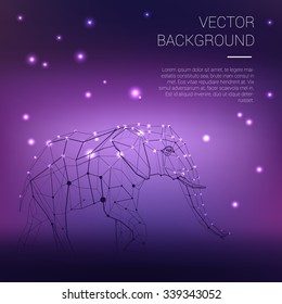 Polygonal lines abstract vector sample illustration with space elephant on the color night background