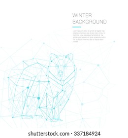 Polygonal lines vector polar white bear illustration on the white winter background with sample of text
