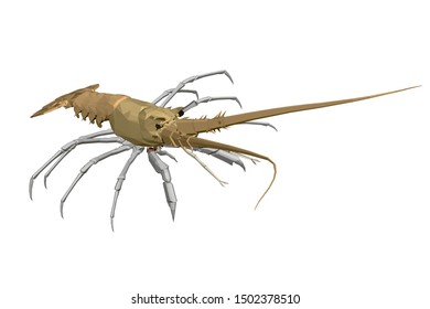Polygonal little lobster. Realistic yellow lobster. View isometric. 3D. Vector illustration.