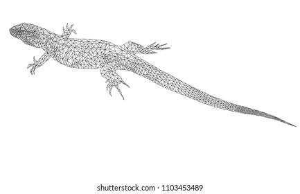 Polygonal  lizard. Geometric and triangle silhouette of a reptile on a white background. Vector illustration