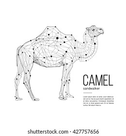 Polygonal low poly illustration of a camel, geometrical triangles linear wire construction. Low poly concept of connection