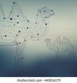 Polygonal low poly illustration of a camel, geometrical triangles linear wire construction. Molecular concept of connection