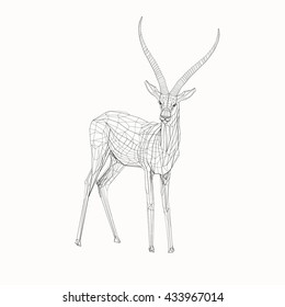 Polygonal low poly illustration of a gazelle, geometrical triangles linear wire construction. Low poly concept of connection