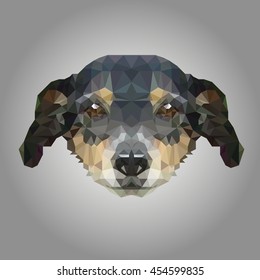 polygonal low poly portrait dog geometric 