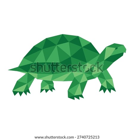 polygonal low poly of turtle vector