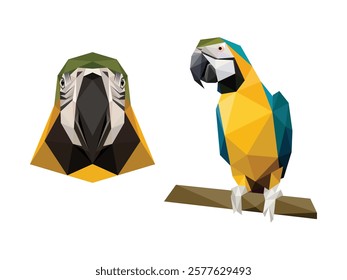 Polygonal low poly vector logo of Green parrot face. parrot head face polygonal vector logo. Abstract triangle vector of parrot bird