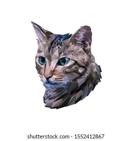 Polygonal Lowpoly Art Of a Head of Cat