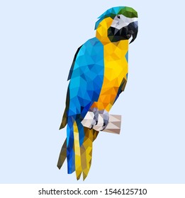 Polygonal macaw bird sitting on a branch