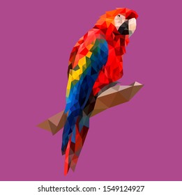 
Polygonal macaw bird sitting on a branch
