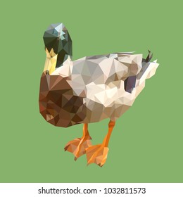 polygonal mallard, geometric polygon wild duck, isolated vector animal illustration