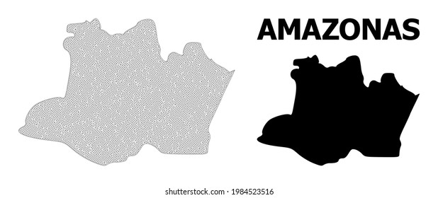 Polygonal mesh map of Amazonas State in high resolution. Mesh lines, triangles and points form map of Amazonas State.